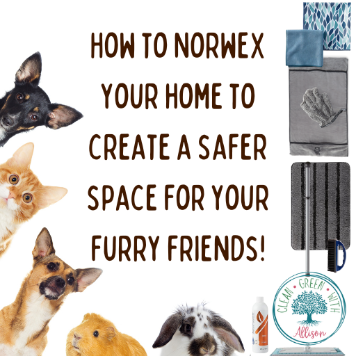 Paws, Claws and Clean: A Pet-Safe Home with Norwex